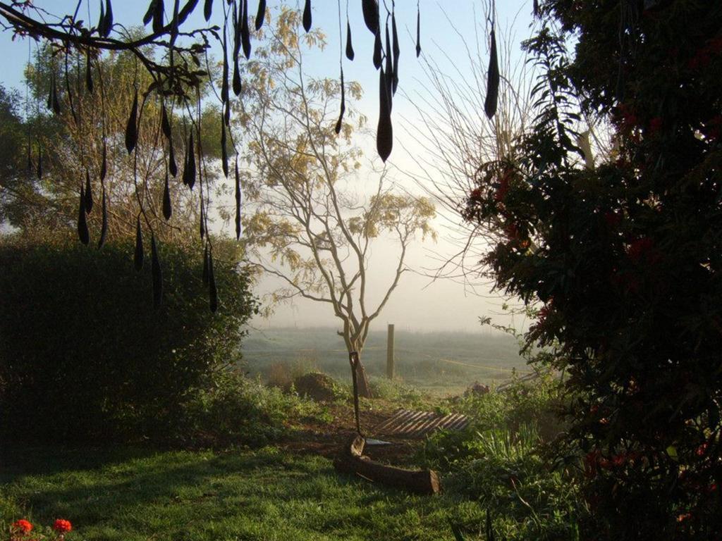 Plovers Ridge Country Retreat Villa Lilydale Room photo